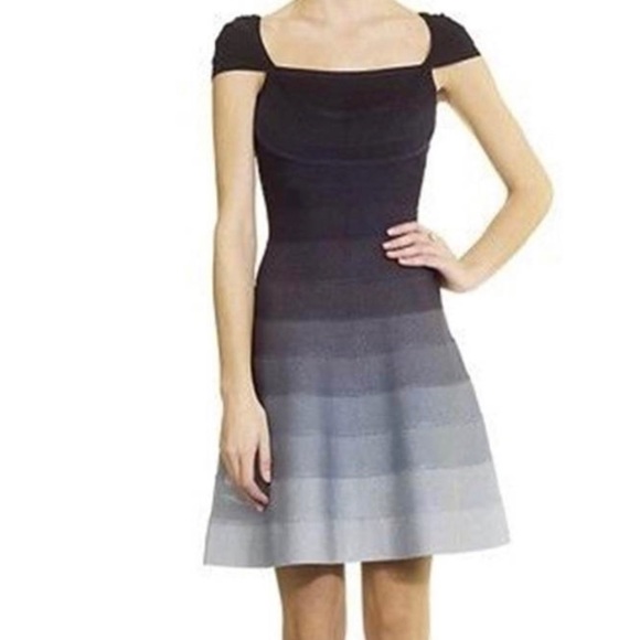 Herve Leger Dresses & Skirts - Never been worn Herve Leger